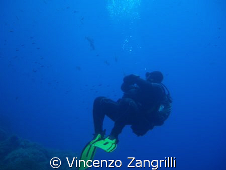 The observer by Vincenzo Zangrilli 