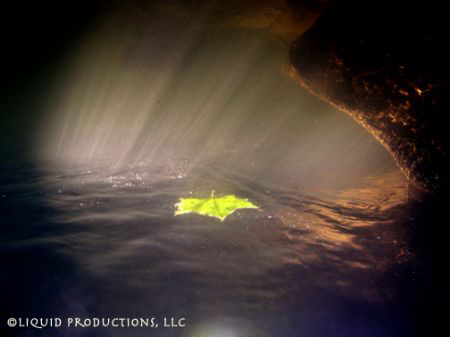The image of a leaf on a journey through a freshwater cre... by Becky Kagan 