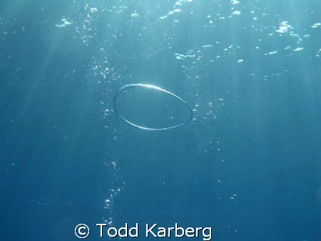 Safety stop ring bubble by Todd Karberg 