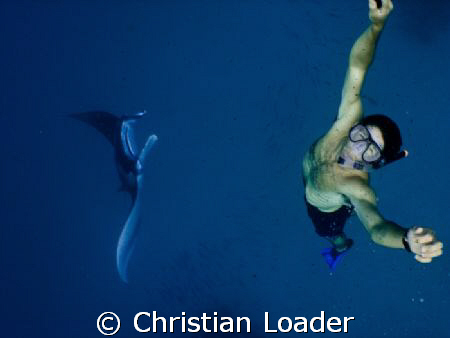My friend Tim with a Manta that was feeding while 'barrel... by Christian Loader 