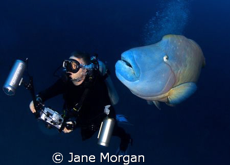 Me and my buddy. This was taken at Fish Head in the Maldi... by Jane Morgan 