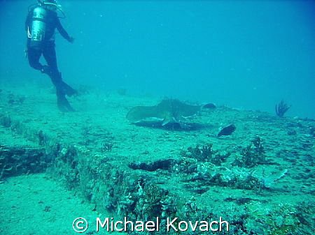 Diver and Southern Atlantic Ray on the Sea Emperor by Michael Kovach 