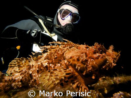 Eyes to the lens. A diver and a Red Scorpion fish (scorpa... by Marko Perisic 