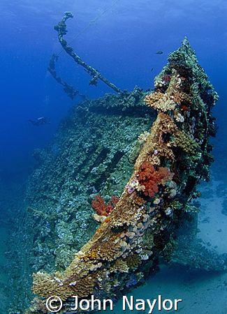 Wreck of the Marcus.Abu Nuhas. by John Naylor 