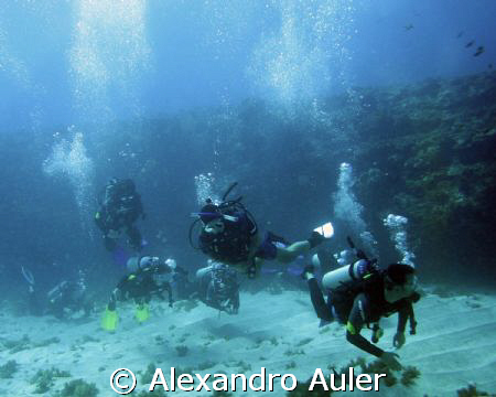 Divers at Fernando de Noronha Island. Brazil. by Alexandro Auler 