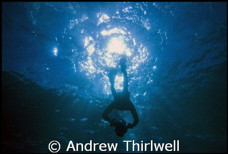 Freediving off Sydney in natural light by Andrew Thirlwell 