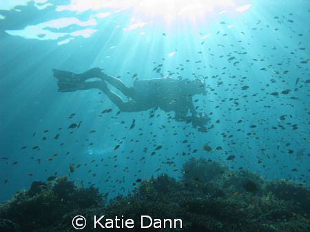 Diver filming, taken early evening with Canon G9 by Katie Dann 