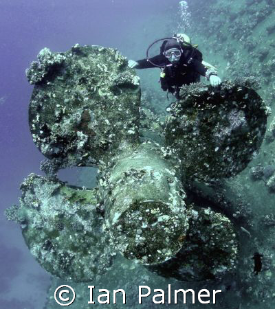 Diver on one of the props of the Salem Express ( natural ... by Ian Palmer 