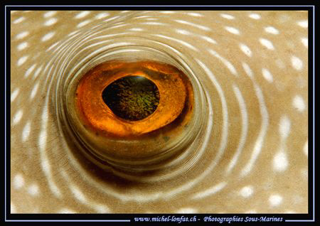 The eye... :O) by Michel Lonfat 