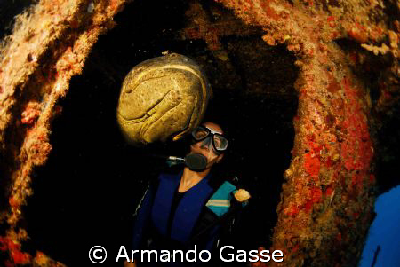 Goliath Grouper and Female Diver, ¿ Who goes out first ? by Armando Gasse 
