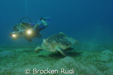 Turtle in the red sea by Brocken Rudi 