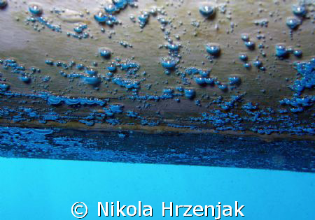 bubbles of air, decompression of 3 metres, the hull by Nikola Hrzenjak 