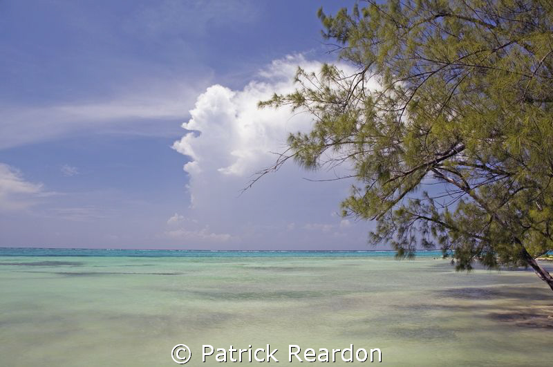Pastel paradise.  One of the things I love about diving i... by Patrick Reardon 