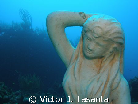 new in parguera area,PUERTO RICO,,,mermaid point is the d... by Victor J. Lasanta 