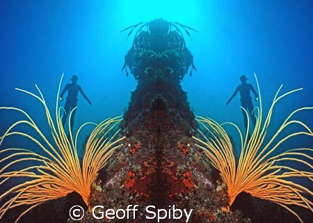 mirror image-snorkelling in Cape Town by Geoff Spiby 