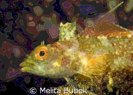 ADCSee Pro Manipulated - I like this kings-golden-look of... by Melita Bubek 