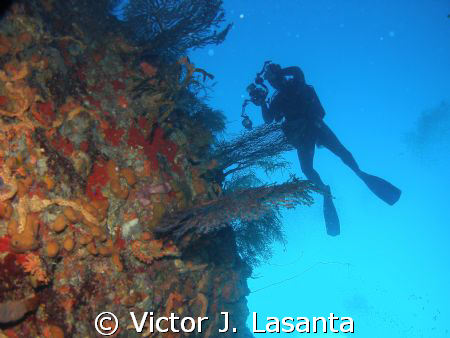 at the wall!! in balcones dive site at parguera area!!PUE... by Victor J. Lasanta 