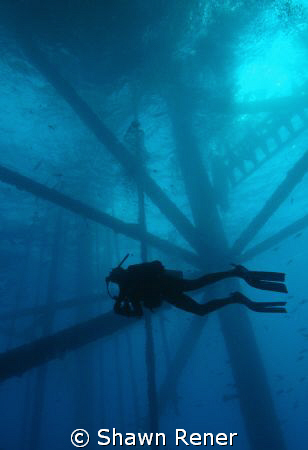 Diving working oil platform in the Gulf of Mexico..... by Shawn Rener 