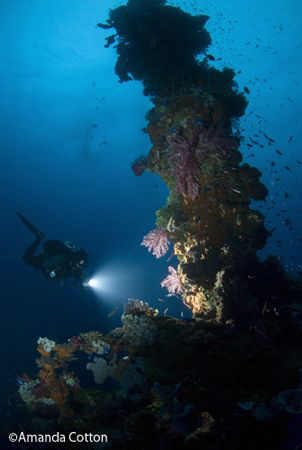 Truk Lagoon (Chuuk), Micronesia.  Diver on wreck of Truk ... by Amanda Cotton 