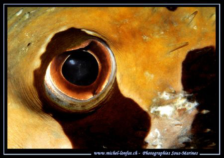 The Eye... :O) .... by Michel Lonfat 