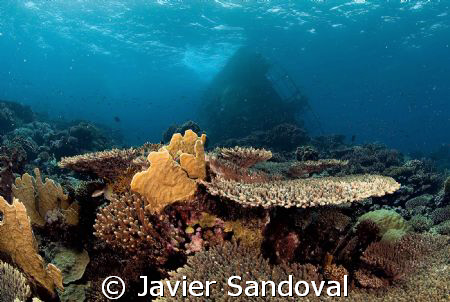 kormoran Wreck Tiran island Egypt by Javier Sandoval 