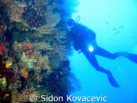 island solta 
40m deep by Sidon Kovacevic 