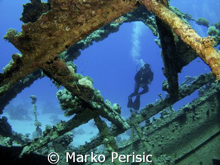 Red Sea diver framed. by Marko Perisic 