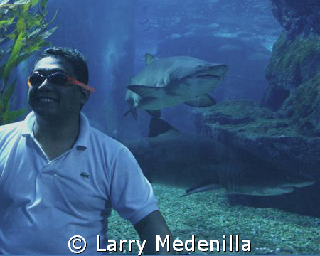 We were having fun at the Siam Mall Aquarium in Bangkok. ... by Larry Medenilla 