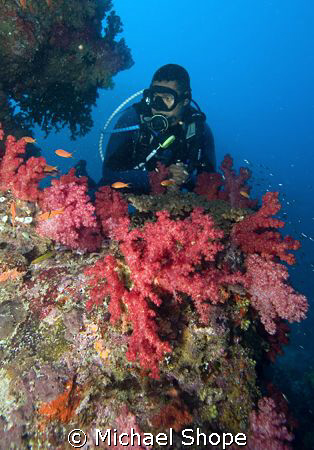 Dive Master in Fiji by Michael Shope 