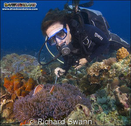 You just gotta love Clown Fish !! Nikon D2x 12-24 lens ma... by Richard Swann 