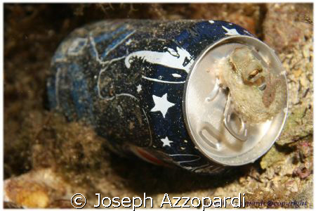 Always pepsi cola. canon 30D Ds125 strobe and normal lens. by Joseph Azzopardi 