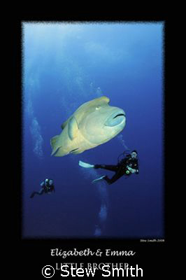 large napoleon wrasse and two divers
10mm tokina by Stew Smith 