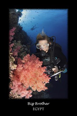 My wife Louise inspecting one of the many soft corals on ... by Stew Smith 