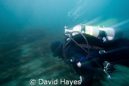 Winter diving in Prince William Sound Alaska. by David Hayes 