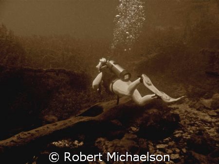 Why We Dive. Taken at
Aquarena Springs, Texas by Robert Michaelson 