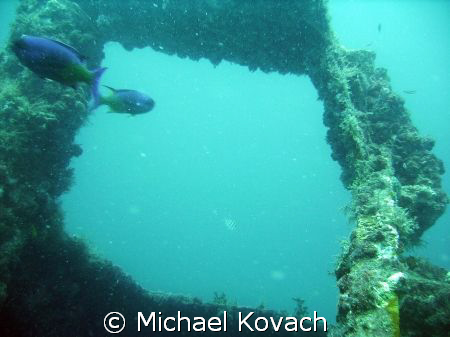 One of the many wrecks along the shore at Fort Lauderdale by Michael Kovach 