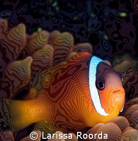 Baby Clownfish Fan-t-Sea artwork. by Larissa Roorda 