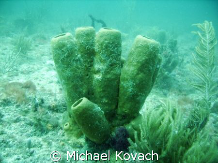 The First Reef line at Lauderdale by the Sea by Michael Kovach 