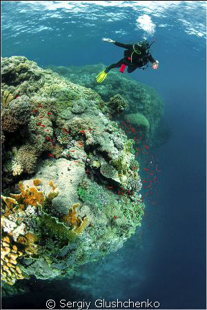 Habili Jafara Reef, St. Johns by Sergiy Glushchenko 
