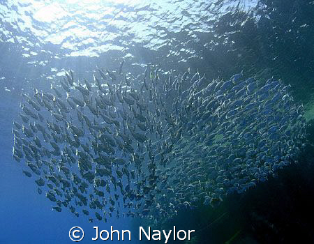 taken at bros. red sea nikon d200 10.5 lens by John Naylor 