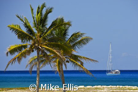 "Safe Haven"  Old Bahama Bay by Mike Ellis 