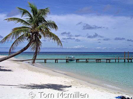 West Bay beach on the island of Roatan, great place to sn... by Tom Mcmillen 