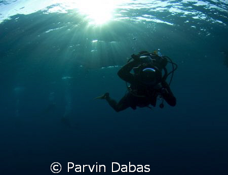 dive buddy taking a picture of me taking a picture of him... by Parvin Dabas 