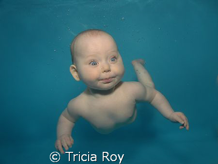 Waterbaby Beauty, Photographing a baby underwater is a am... by Tricia Roy 