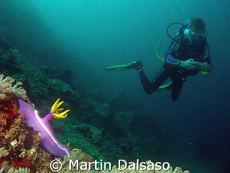 Taken in Sabang, PI- Dive buddy Boris waiting his turn to... by Martin Dalsaso 