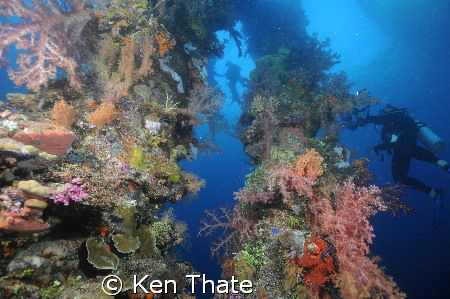 This is a shot of the King Posts on  a Japenese wreck at ... by Ken Thate 