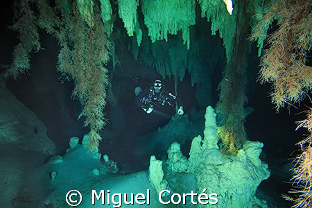 Diver in a cave, between stalactites and roots. by Miguel Cortés 