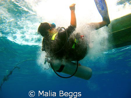 My dive buddy dropping in to meet me.  I used my Canon A6... by Malia Beggs 