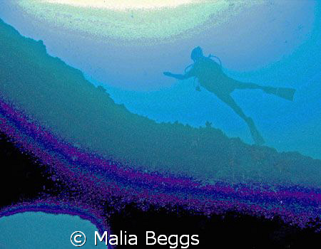 "Gliding Through The Spectrums of Color"  I used my Canon... by Malia Beggs 