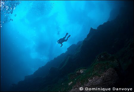 100 foot depth under the ice.

Diver diving under the i... by Dominique Danvoye 